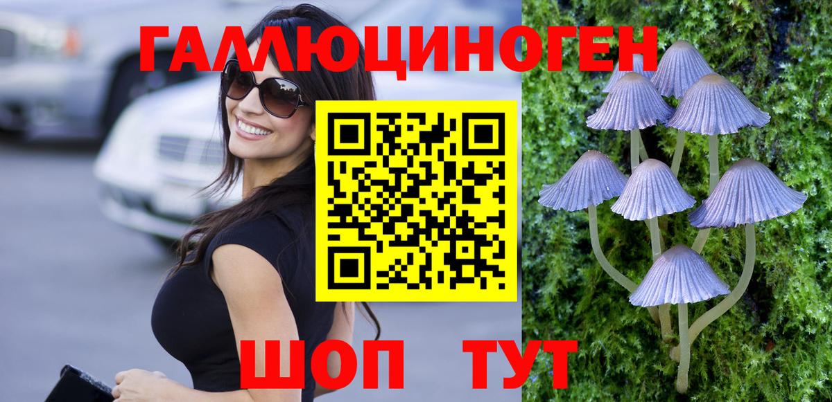 Псилоцибиновые грибы Magic Shrooms Зеленодольск