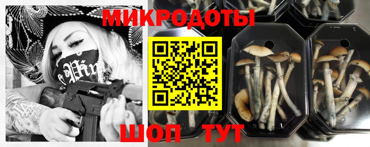 Зеленодольск  Псилоцибиновые грибы GOLDEN TEACHER  Вход с VPN 